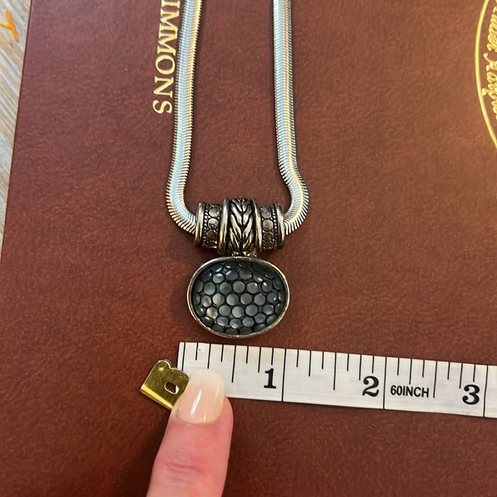 Classy, Timeless,Oozes Class & Style, Silver Turt… - image 8